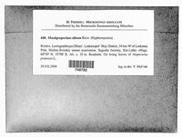 Image Associated With the Occurrence